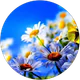 esin k profil fotoğrafı