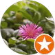 Sararmış Sayfalar profil fotoğrafı