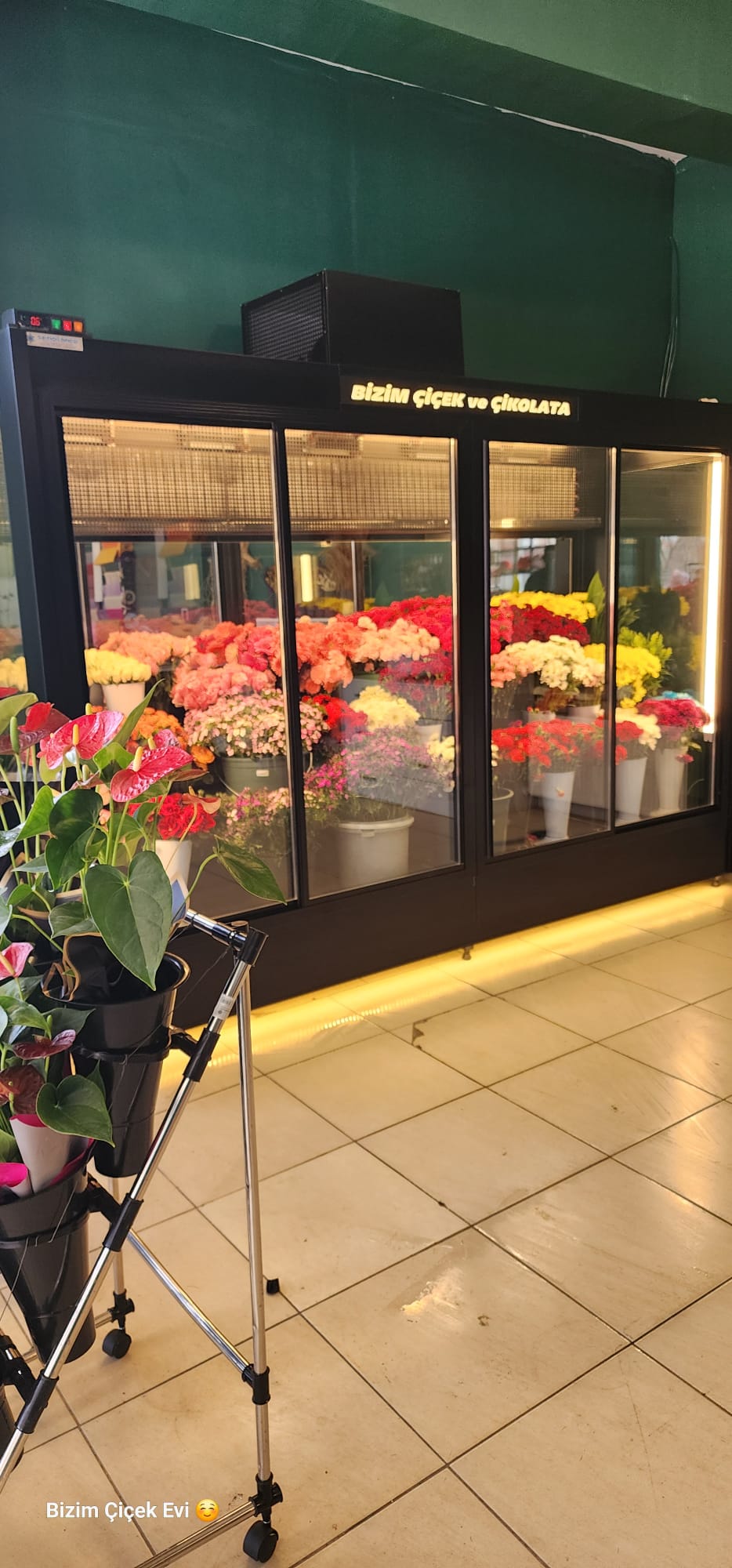 BİZİM ÇİÇEK EVİ ERTAŞ CADDESİ