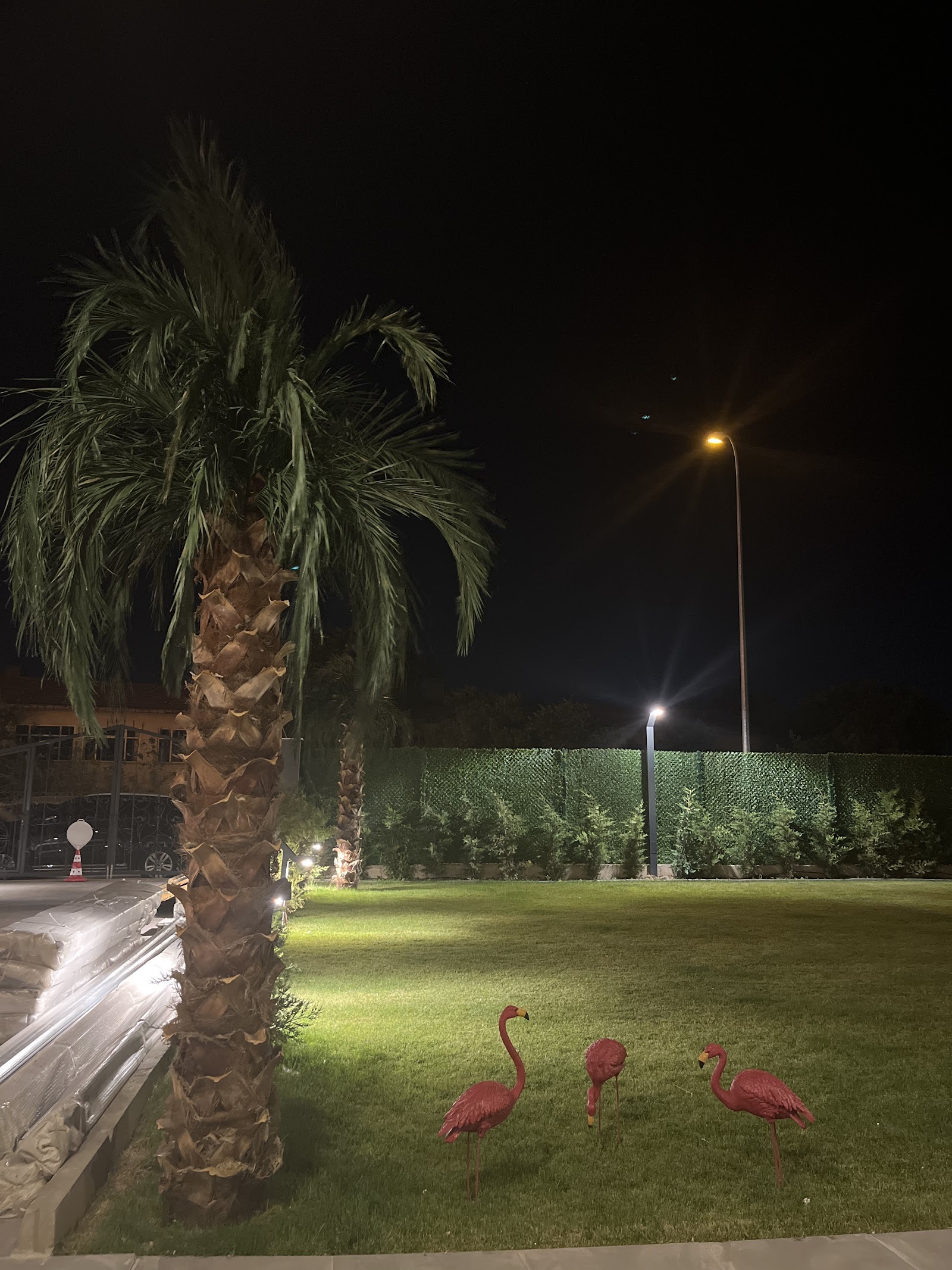 Happy Garden Wedding — Tepebaşı, Eskişehir kır düğünü mekanı görsel 9