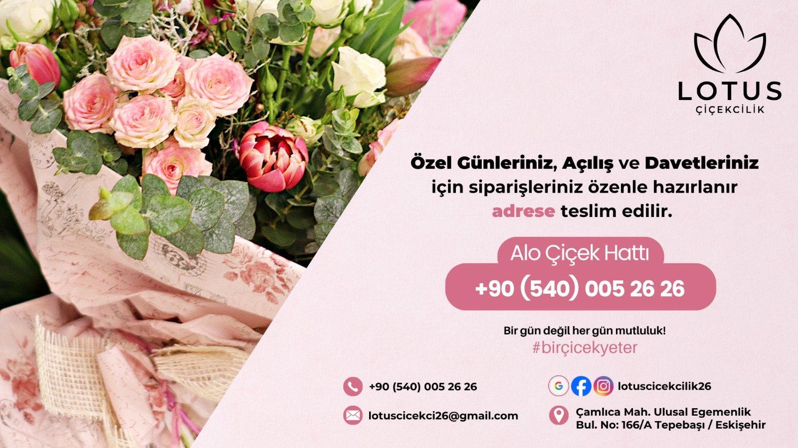 Lotus Çiçekçilik